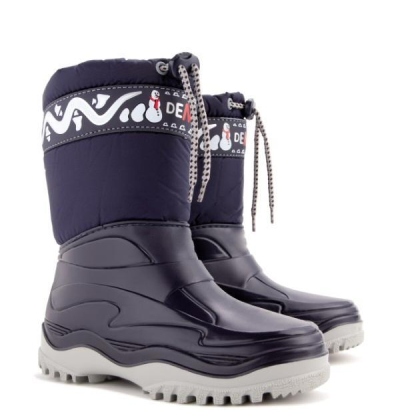 DEMAR-FROST A blue 0376