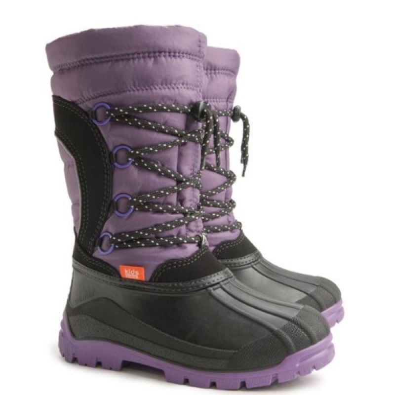 DEMAR-SAMANTA B 1304 violet