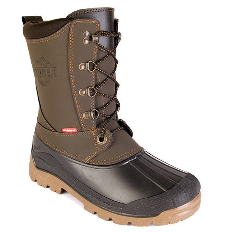 DEMAR-WINTER CLASSIC 3817