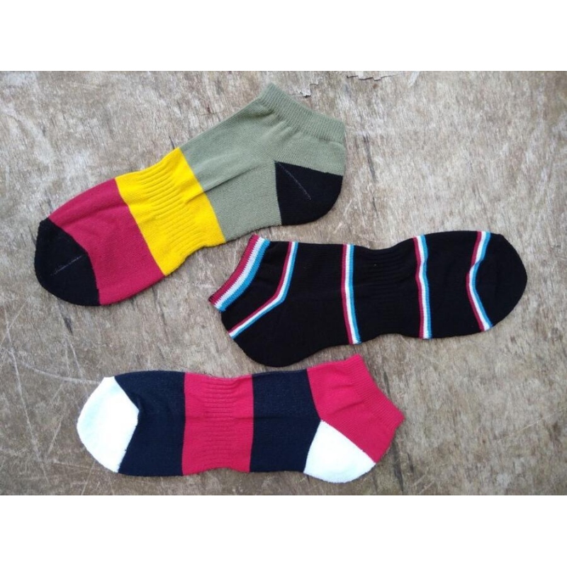 TREPON-FOZEN, vel.26-27