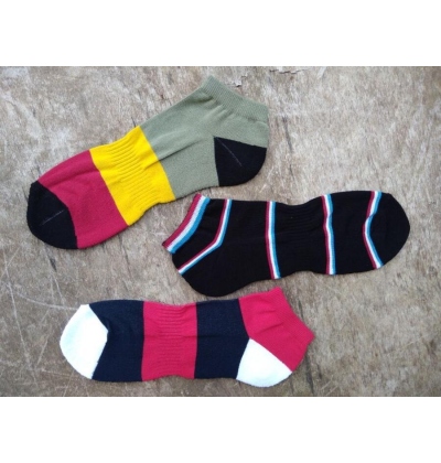 TREPON-FOZEN, vel.26-27